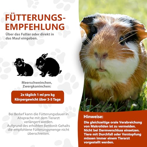 Alfavet RodiCare Dia, Ergänzungsfuttermittel für Zwergkaninchen und Meerschweinchen, bei Durchfall, mit Natriumbutyrat, zuckerfrei, 3 Injektoren à 12 ml