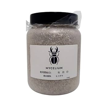 Amazon | 菌糸ビン800cc ヒラタケ 一次発菌 乳白色ボトル