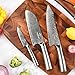 Damascus Kitchen Knife Set with Block, 4 Pieces Knife Block Set with Hammered Patterns Ergonomic Handles, 67 Layer Handmade Damascus VG10 Steel Core NF-D0519T-4B