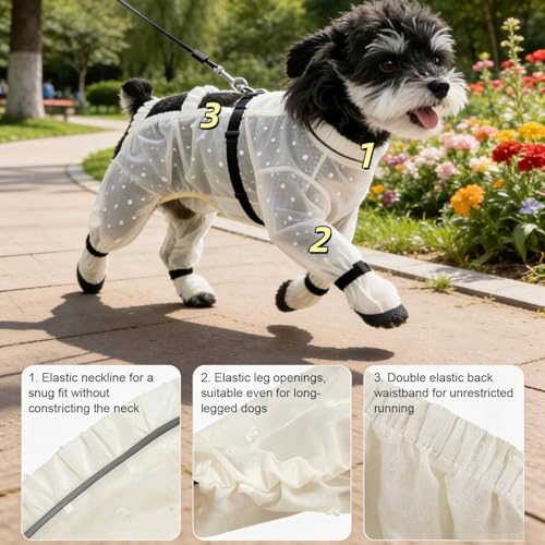 Combinaison pour chiens avec anneau en D et sangle réglable