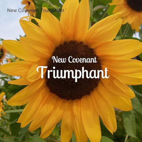 &rdquo;What David Knew&rdquo; Treasures Unearthed in Psalm 23