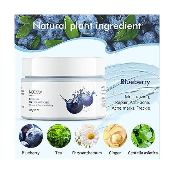 Dead-Sea-Mud-Mask-for-Face-Clay-Mask-Skincare-Blueberry-Vitamin-C-Clay-Mask-Purifying-Clay-Mask-Green-Tea-Natual-Bentonite-Healing-Clay-Mask-Blackhead-Remover-Deep-Cleansing-Hydrating-Facial-Gift Dead Sea Mud Mask for Face Clay Mask Skincare Blueberry Vitamin C Clay Mask Purifying Clay Mask Green Tea Natual Bentonite Healing Clay Mask Blackhead Remover Deep Cleansing Hydrating Facial Gift