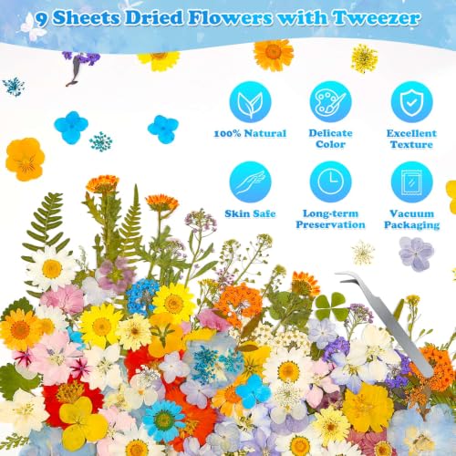 Image of 284 Pcs Real Dried Pressed Flowers & Butterfly Stickers for Resin Crafts