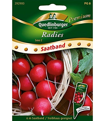 Preisvergleich Produktbild Saatband Radies"Saxa", 6 m,1 Set