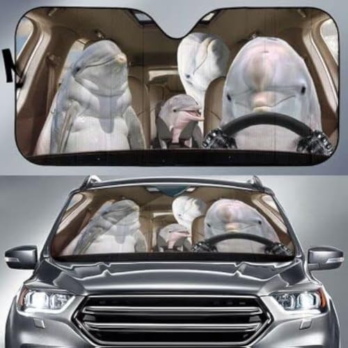 Couverture Pare-Brise Voiture Pliable M : pare-soleil camion et SUV avec protecteur intérieur anti-UV