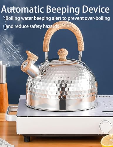 Bouilloire sifflante en acier inoxydable pour tous types de plaques de cuisson