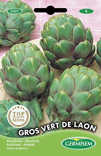 Germisem graines Artichaut GROS VERT DE LAON Cover