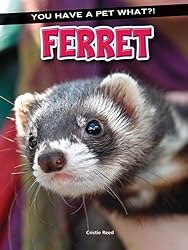 Amazon | Ferret (You Have a Pet What?!) (English Edition) [Kindle