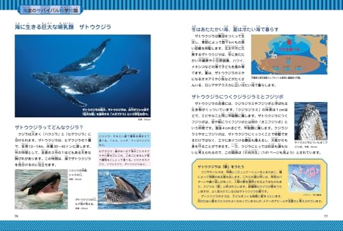 Amazon.co.jp: 洪在徹: 本、バイオグラフィー、最新アップデート