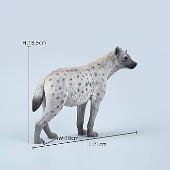 51LmOmYt-kL._AC_UF350,