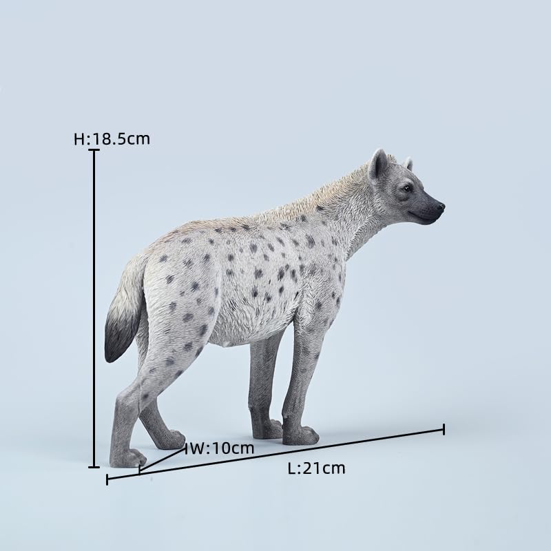Amazon.com: WLNTDOLA 1:6 Scale African Hyena Model Hyaenidae