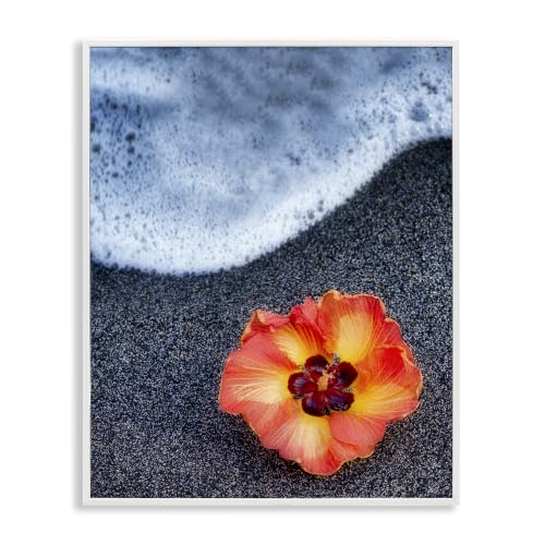 Poppy Beach Foam Coastal Photography, 16 x 20 Inch Framed Giclée Print