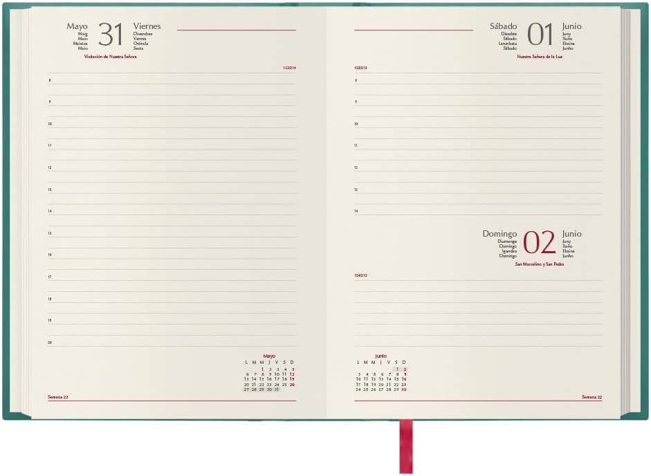 Dohe - 2024 Diary - Day Page - Size: 15 x 21 cm (A5) - 336 Pages - Stitched Binding - Hardcover - Green - Brasilia Model