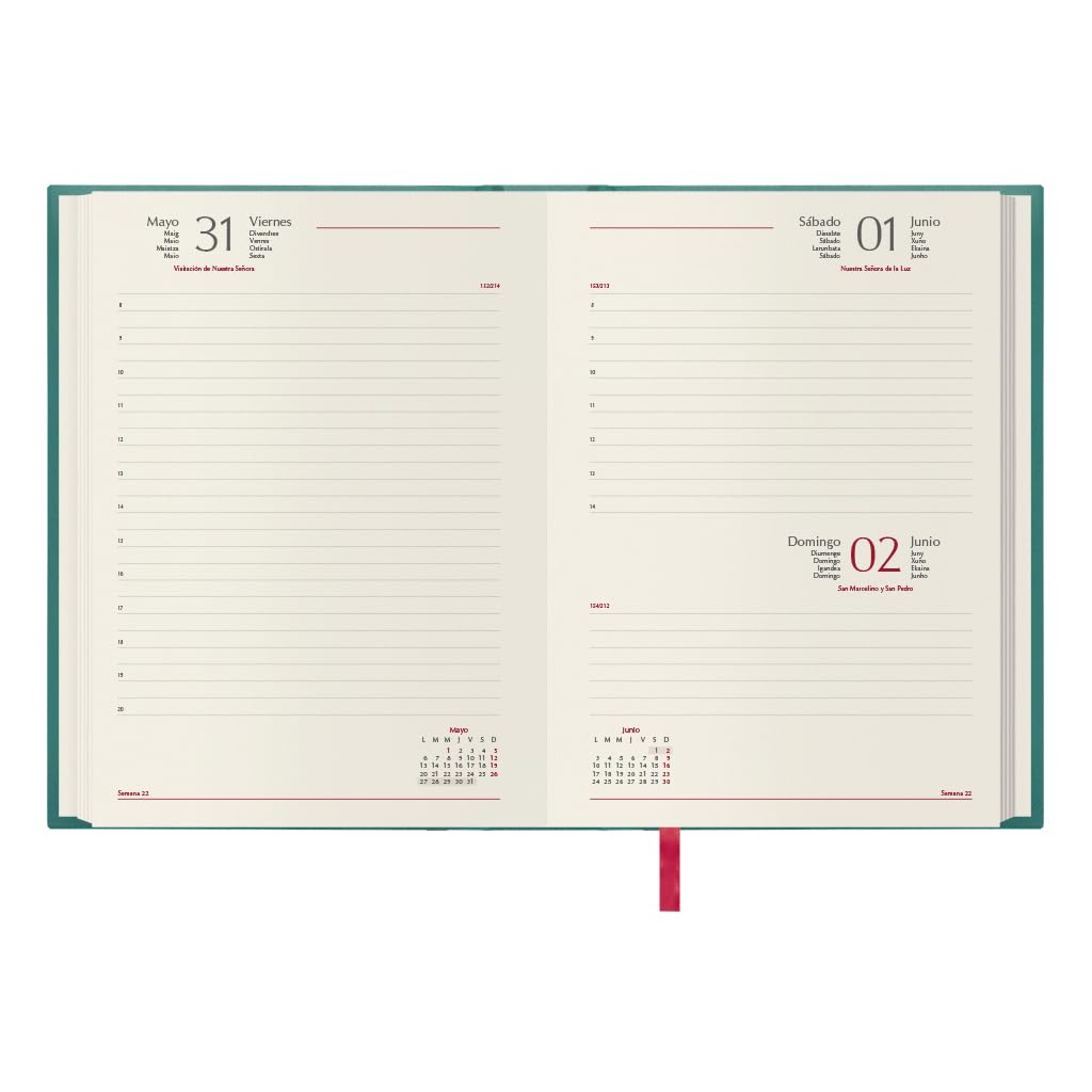 Dohe - 2024 Diary - Day Page - Size: 15 x 21 cm (A5) - 336 Pages - Stitched Binding - Hardcover - Green - Brasilia Model - Image 2