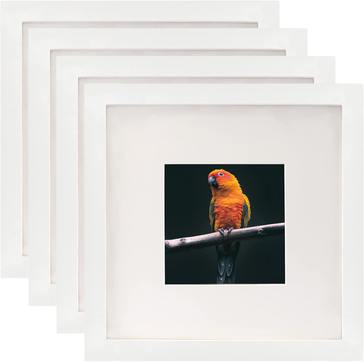 ORIVAN White 10x10 Picture Frames Set of 4 Display Pictures 5x5 with Mat or 10x10