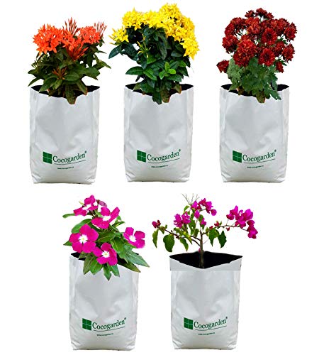 Image of cocogarden UV Treated Poly Grow Bags for Terrace Gardening (20 x 20 x 40) cms (White, Pack of 5) | Home Gardening Plant Container Bag for Leafy Vegetable and Flower Plants