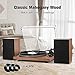 Record Player Turntable with 40W Speakers and Bluetooth Output Input for Vinyl Records,Vinyl Record Player with Built-in Preamp,AT-3600L Cartridge,USB Record,Pitch and Counterweight
