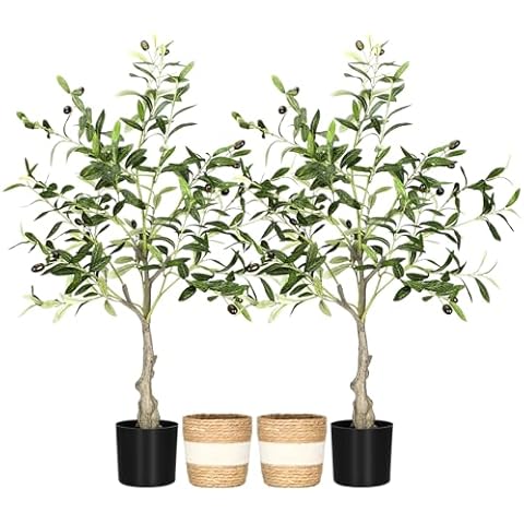 Riceshoot 2 Packs Faux Olive Tree Tall Olive Tree Plant Fake Potted Olive Silk Tree Artificial Olive Trees with Handmade Woven Basket for Modern Home Garden Indoor Outdoor Office Living Room(3 ft) Cover
