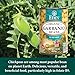 Eden Organic Garbanzo Beans, Chickpeas, 15 oz Can (12-Pack Case), No Salt Added, Non-GMO, Gluten Free, Vegan, Kosher, U.S. Grown, Heat and Serve, Macrobiotic