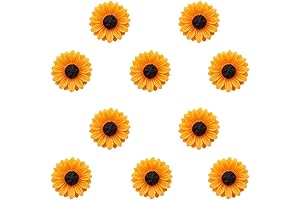 Joyci Murakami Brooch Pins