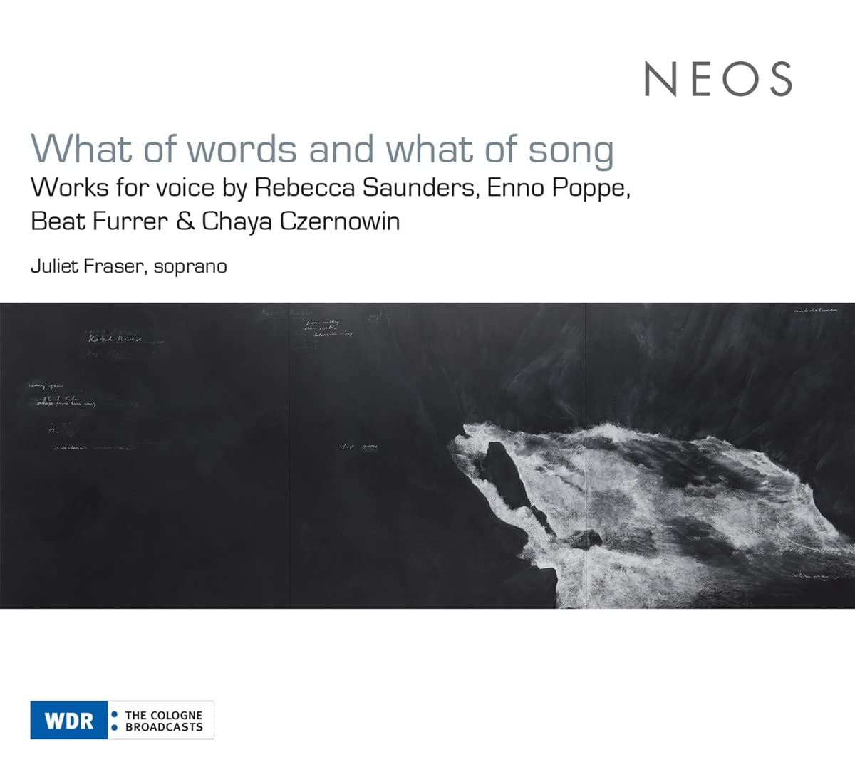 What of Words and What of Song