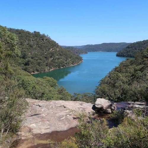 Ep3: Professor Sharon Sullivan 'they were heady days...', the beginnings of cultural resource management