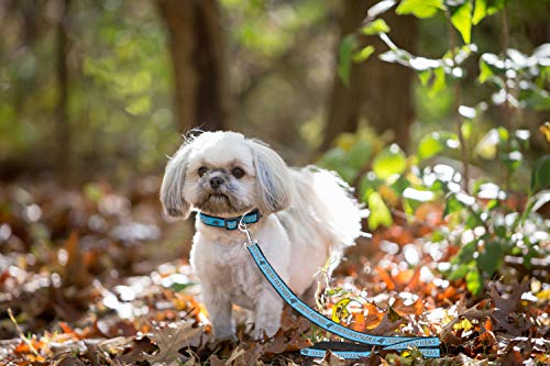 Pets First Nfl Carolina Panthers Dog Leash & Cat Leash For Pets, Size: Small, Sturdy Leash, Durable, Fashionable & Affordable! #TOP3