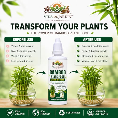 Image of Bamboo Plant Food Liquid Bio Food, for Lucky Bamboo, Money Plants and Aquatic Plants, 50 ml (Pack of 1)