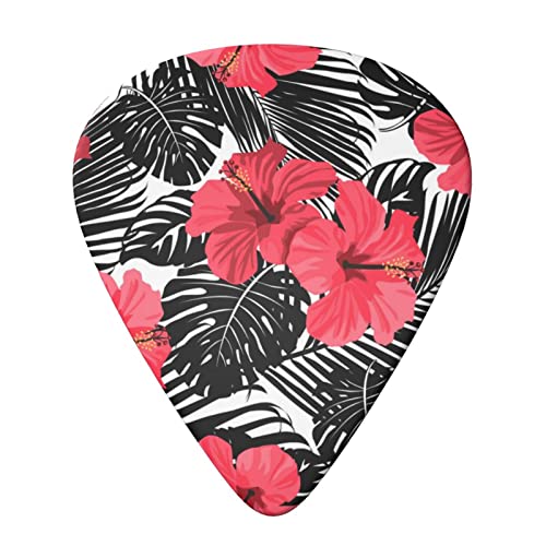 Red Hibiscus Lot de 6 médiators pour guitare acoustique, guitare électrique, basse, ukulélé – fins, moyens et épais - Les Beatles, Paul McCartney, John Lennon, RIngo Starr, George Harrison Red Hibiscus Lot de 6 médiators pour guitare acoustique, guitare électrique, basse, ukulélé - fins, moyens et épais – Image 4