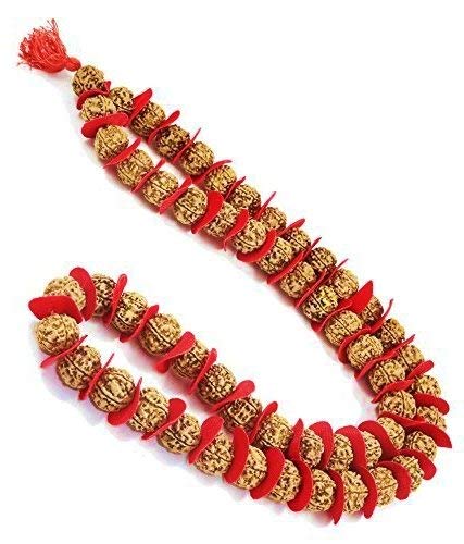 See full amazon price history chart for RUDRADIVINE Wood Natural 5 Mukhi Rudraksha 54 Beads Mala for Men and Women (Brown) RUDRADIVINE Wood Natural 5 Mukhi Rudraksha 54 Beads Mala for Men and Women (Brown) (B07P24FS75) Amazon Price History, Amazon Price Tracker