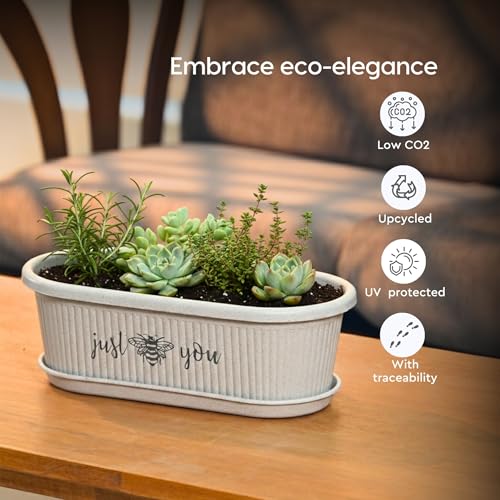 Image of Eha Earth-Friendly Printed Regalia Planters for Home Decor | 12 Inch, Pack of 2 Without Growmix | Plant Gifts Made with Rice Husk Biocomposite | Flower Pot for Living Room| Sand Castle