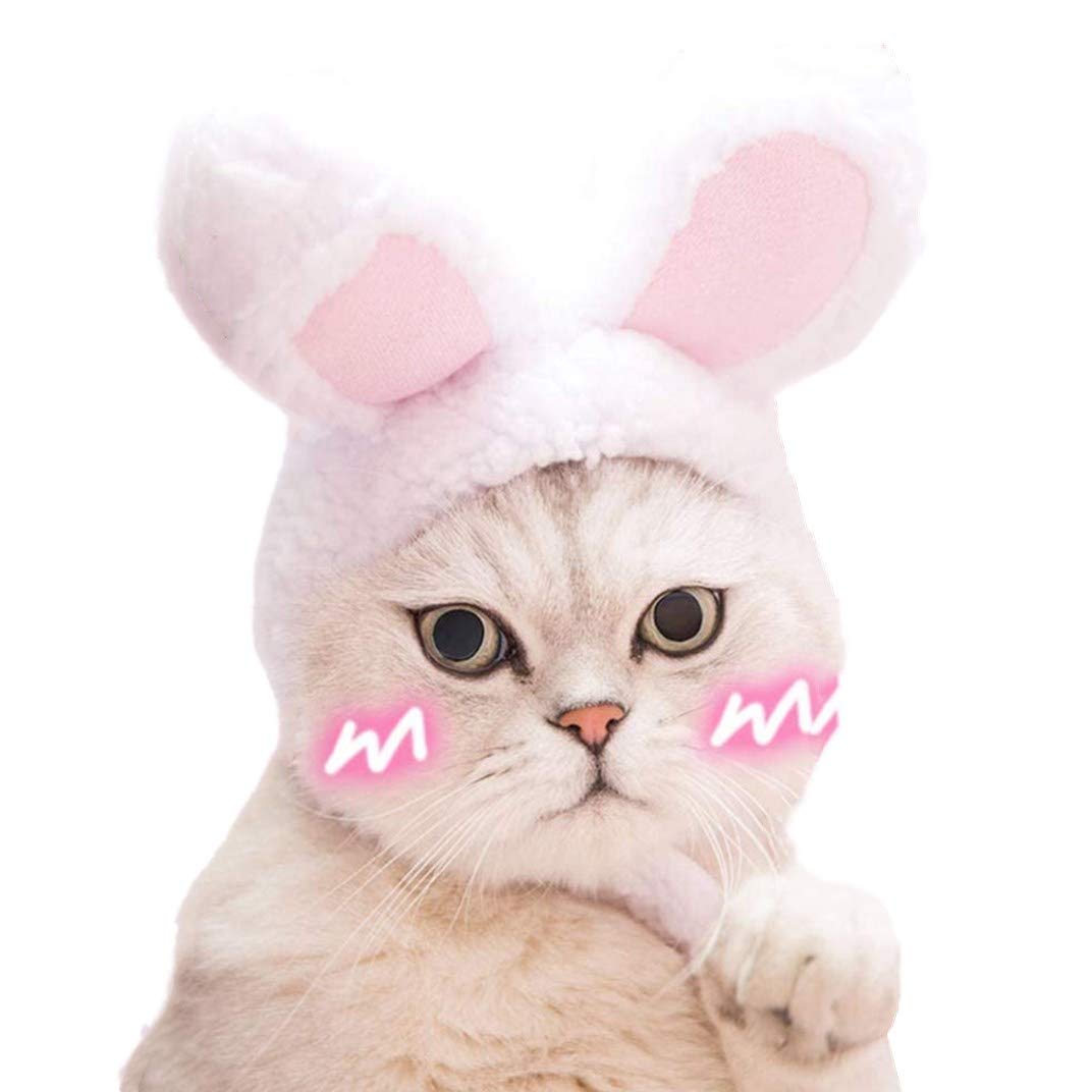 ユージナキム☆猫ちゃん帽子 ユージナキム☆猫ちゃん帽子