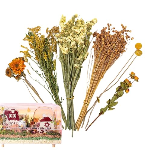 nX^[̉Ԃ̐QAt[nX^[̐Q | Ԃ̃nX^[P[WANZT[ - }EX n GN[W[̑lp̎RȃnX^[̐Q̉