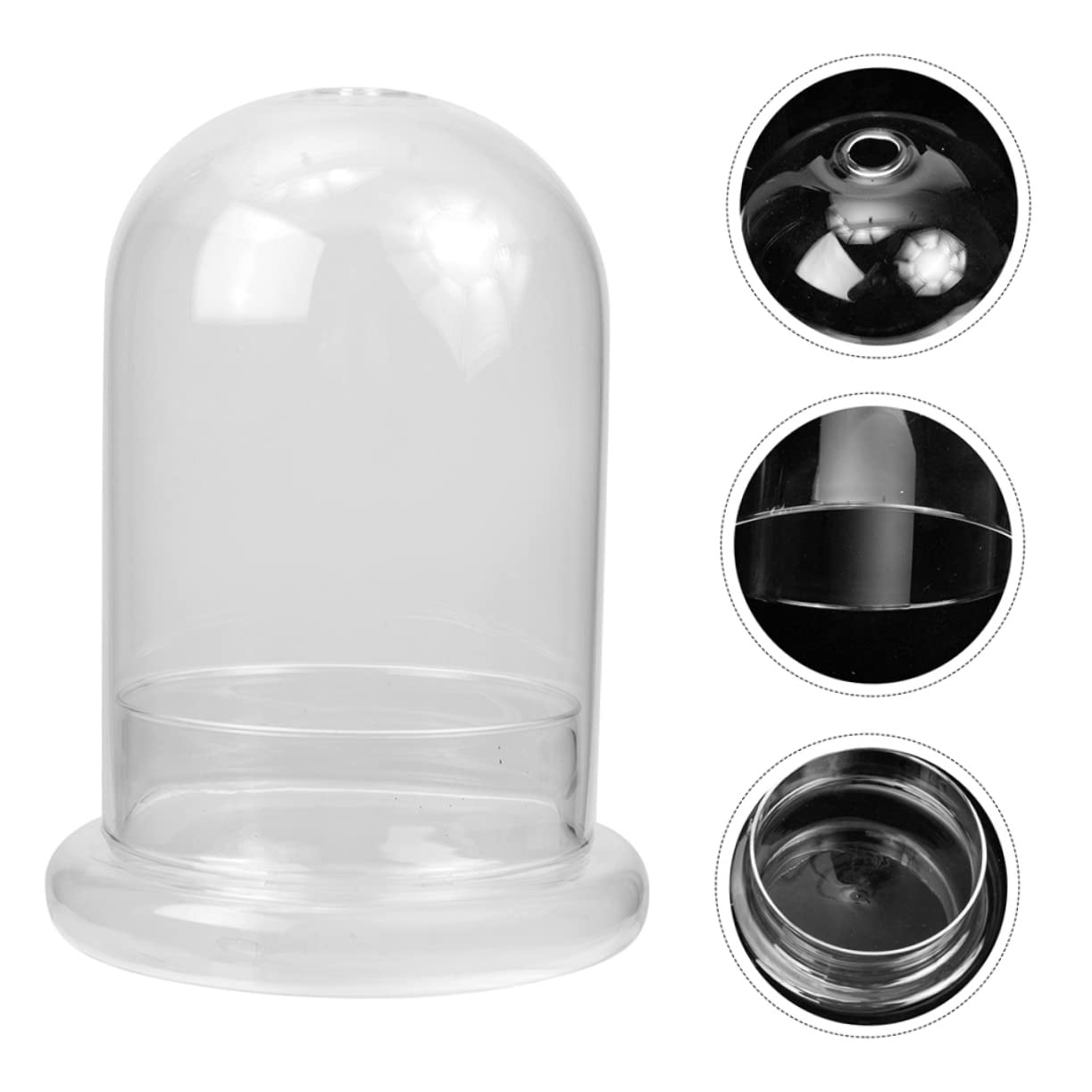 HANABASS Vaso Terrario Bottiglia in Vetro Ecologica Contenitore Decorativo Per Micro Paesaggi Piante Di Muschio Fai Da Te