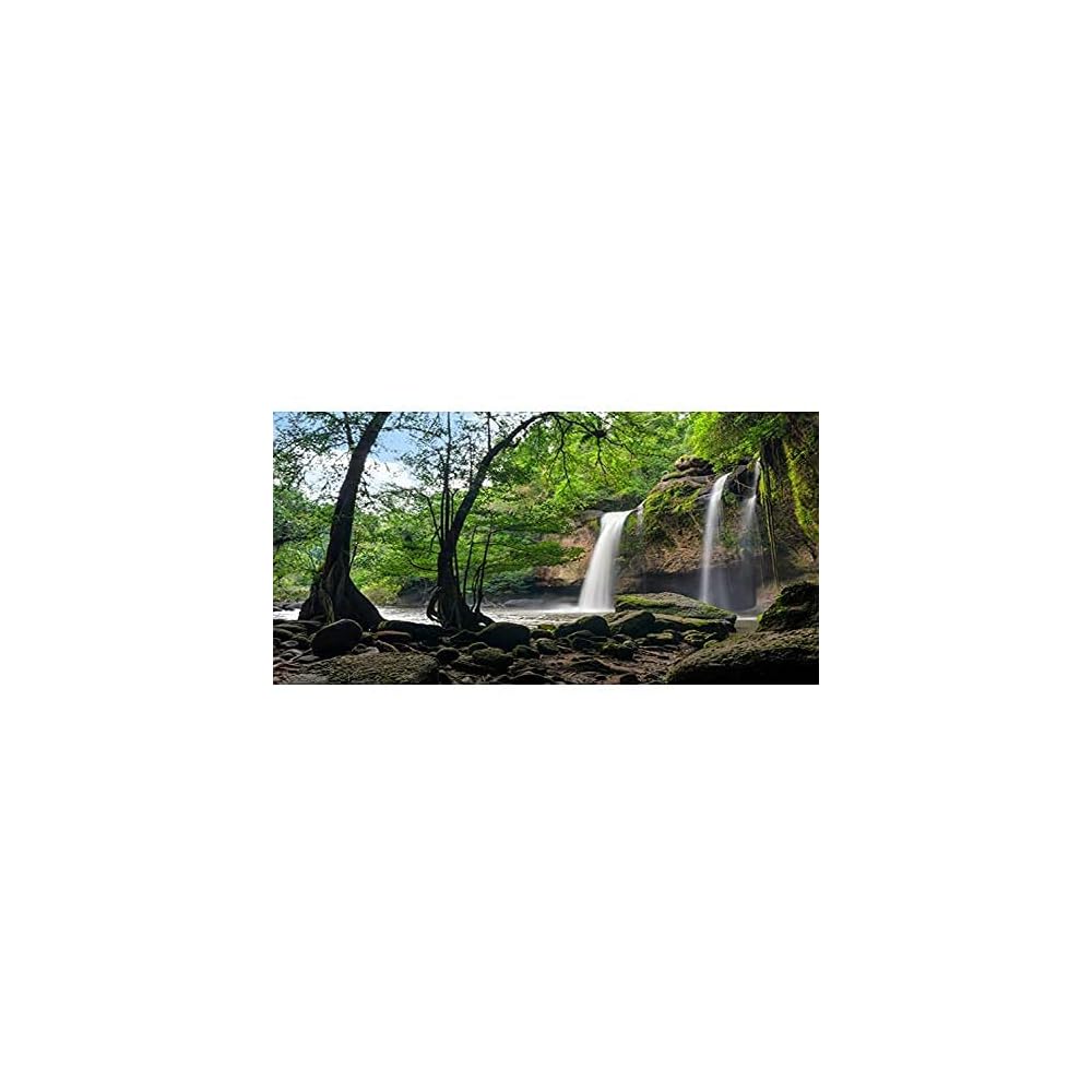 Buy AWERT Waterfall Terrarium Background Tropical Rainforest Aquarium