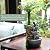 Haobos Indoor Fountain 4-Bowl Rockery Soothing Sound Tabletop Fountains Home/Office Decor Gift for Mom,Mother Day Present with A Small Plastic Pot to Grow Plant/Hebs By Yourself (Automatic Watering)