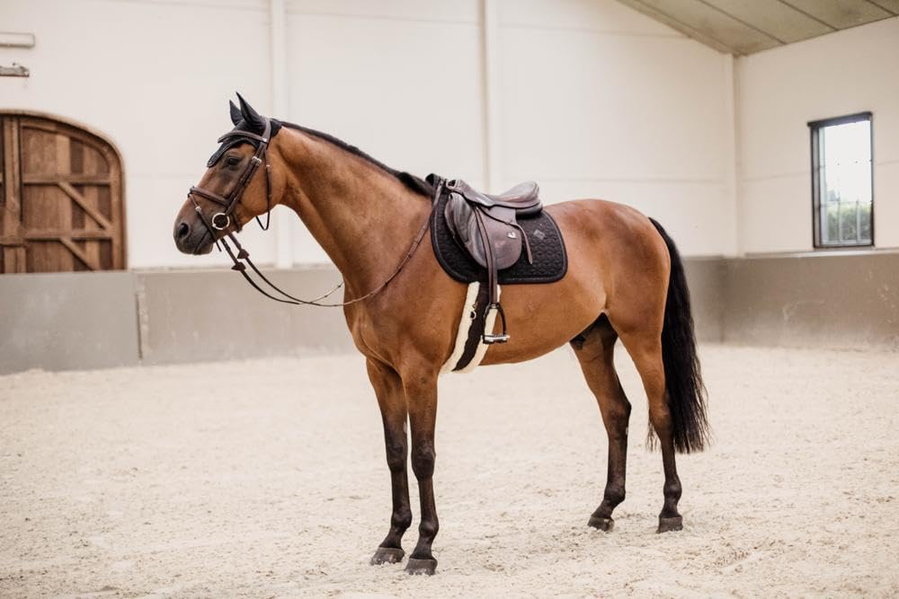 Kentucky - Schabracke Glitter Rope Jumping schwarz