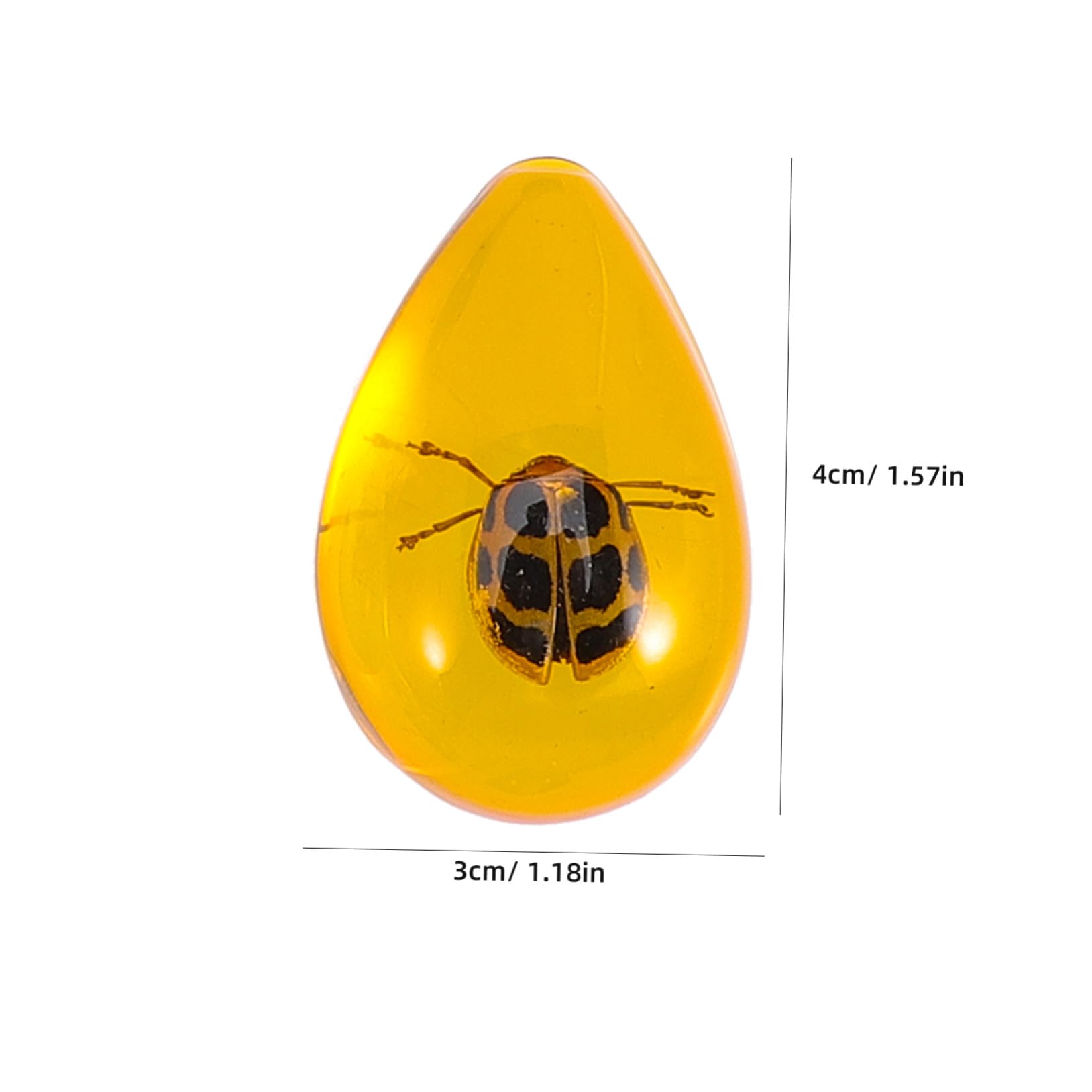 Ciieeo 10 Stück Teiliges Bernstein insekten Fossile Insekten für Edukatives DIY Archäologischen Entdeckung Einzigartige Schmuckanhänger für Bastelprojekte