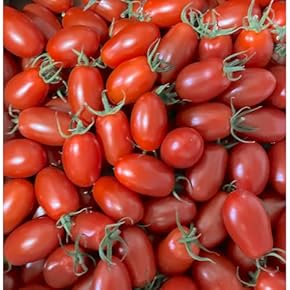 カコちゃん様 木なり完熟トマト 3kg カコちゃん様 木なり完熟トマト 3kg - メルカリ