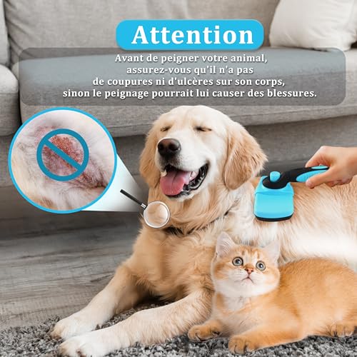 Qianruida Hundebürste Katzenbürste für Katzen und Hunde mit Langem und Kurzem Fell Selbstreinigende Haustierbürste Zur Entfernung von Unterwolle, Hellblau