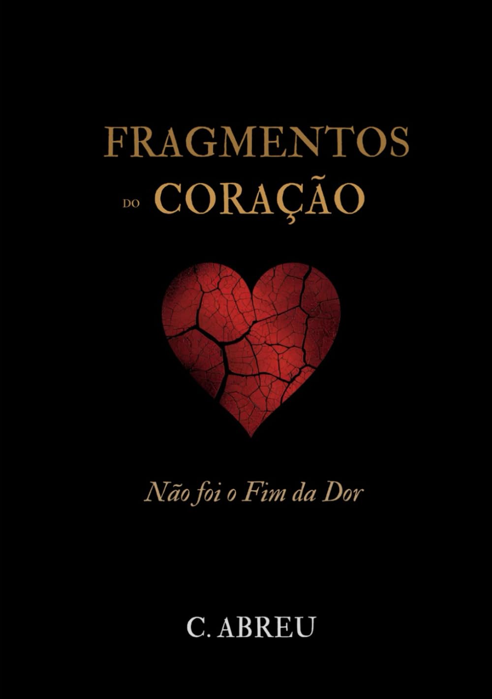 Fragmentos do Coração: Não foi o fim da dor