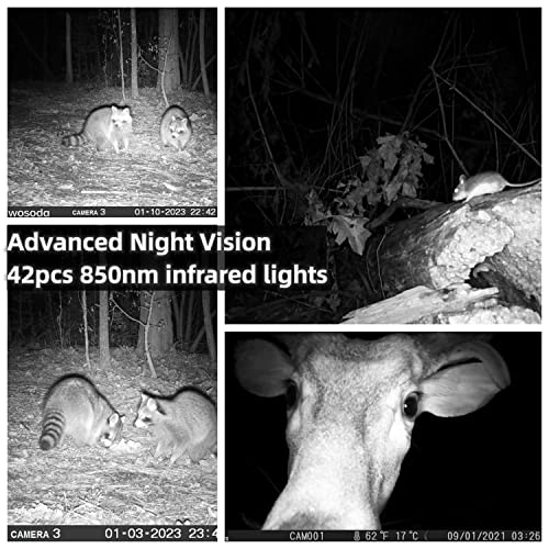 The 5 Best WOSODA Hunting & Trail Cameras of 2024 [Verified] Cherry Picks