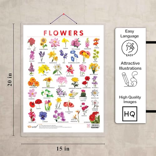 Image of GO WOO FLOWERS CHART HARD LAMINATED | Botanical Beauty: Sturdy Laminated Flowers Wall Display