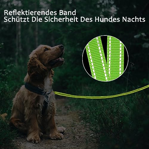 Demigreat Schleppleine für Hunde, 3m / 5m / 10m / 15m / 20m Robuste Lange Hundeleine Reflektierend Trainingsleine mit Gepolsterter Griff und handschlaufe, Ausbildungsleine für Kleine bis Große Hunde