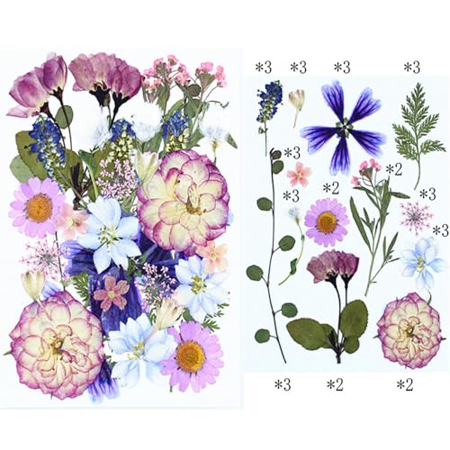 35 piezas flores secas prensadas para manualidades miniatura 3