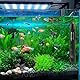 LWMTT Aquariumheizung, Aquarium Heizung, Heizstab Aquarium,25W Aquarium Heizstab einstellbar Aquariumheizer mit Thermostat Regelheizer für Fischtanks, für Aquarien