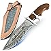 Delta:Hand Made Damascus Bowie knife with Rose Wood Handle-Best For Gift -Best for Camping-Indoor & Outdoor Use Knife (RW002) (Brown)