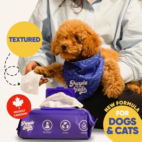 Image of Canada Pet Wipes - 240 Pet Wipes for Paws and Butt, Fur, Ears - Plant-Based Pet Wipes with Aloe Vera, Shea Butter for Puppies, Large Dogs, Cats - 3 x 80 Pack