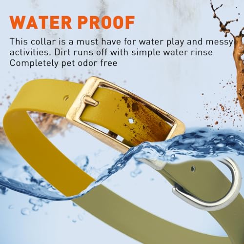 Image of Viper Biothane Heavy Duty Waterproof Dog Collar Strong Coated Nylon Webbing w /Solid Brass Hardware Odor-Proof for Easy Care to Clean High Performance Fits Small Medium or Large Dogs, Treasure Gold