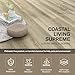 HOLNURY Coastal Living Supreme 8.67